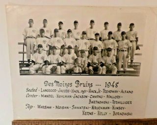 1948 Des Moines Bruins Iowa Cubs Team Photo 8 X 10 Baseball Rare