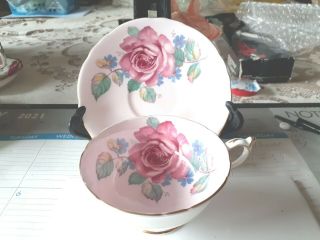Rare Paragon Pink Cabbage Rose Tea Cup & Saucer