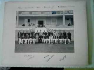 Rare Australia Cricket Team Photo 1930 Ashes Tour Bath Stamped Graystone Bird