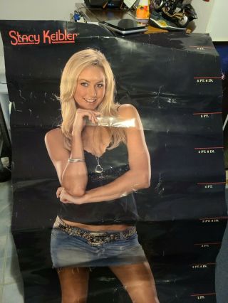 Stacy Keibler Rare life size Poster WWE 3