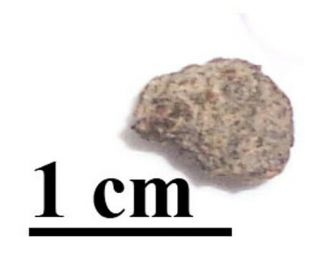 Rare Nwa 10720 Nakhlite Martian Meteorite,  Fragment,  0.  38 Grams