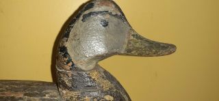 Rare Vintage Doug Jester Black Duck Decoy Miles Hancock Paint Chincoteague Va