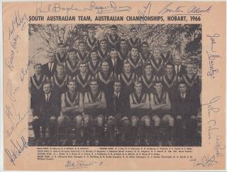 South Australia Sanfl Team Aust Champ 1966 Rare Signed Photo