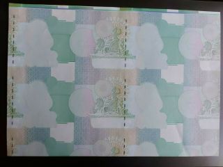 Rare Uncut Pair 50 Pounds Lithounderprint First Trust Bank 2009 Northern Ireland