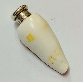“sampson Mordan Solid Silver & Sea Shell Scent Bottle” Rare London 1885