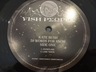 Kate Bush ‎– 50 Words For Snow RARE 1st 2011 UK/EU Press 2 x Vinyl LP 2