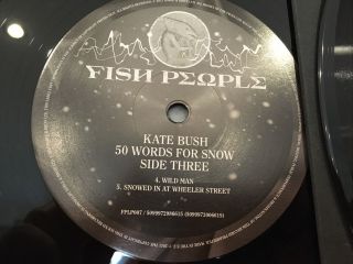 Kate Bush ‎– 50 Words For Snow RARE 1st 2011 UK/EU Press 2 x Vinyl LP 3