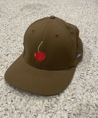Rare Vintage Nike Sb Stussy Hat Cherry Dunk Brown Cap 2005