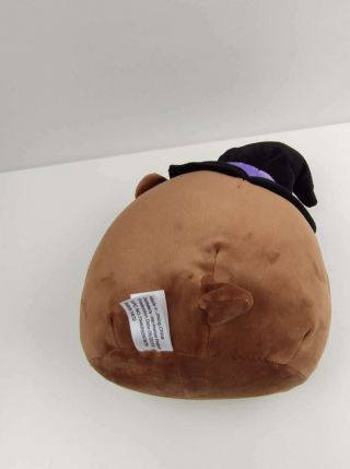RARE Kellytoy Squishmallow Walter The Brown Bear 8 