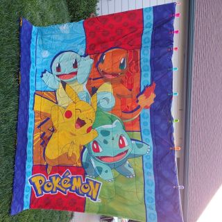 Very Rare 2017 Northwest Company Pokemon Reberaible Twin Comforter Blanket