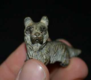 Antique Cold Painted Bronze Terrier Dog Miniature Old Vintage Rare Bergman