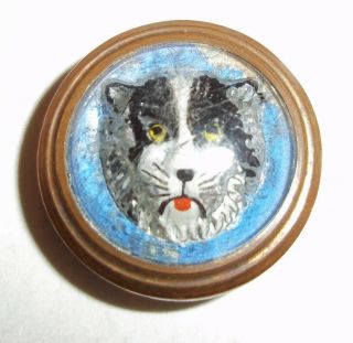 A Very Rare Antique 3d Glass / Rock Crystal Cat / Tiger Head Button