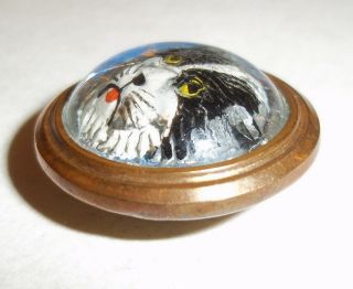 A Very Rare Antique 3d Glass / Rock Crystal Cat / Tiger Head Button 2
