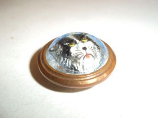 A Very Rare Antique 3d Glass / Rock Crystal Cat / Tiger Head Button 3