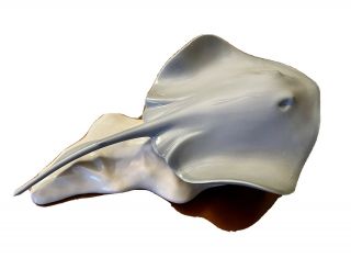 Rare Lladro " Ray Stingray " 8333 Retired Special Edition,  Exclusive Grand Cayman