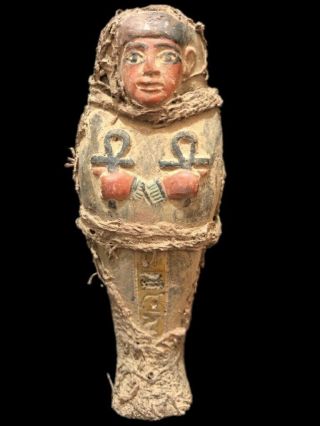 Rare Very Large Ancient Egyptian Shabti,  Late Period 664 - 332 Bc (13)