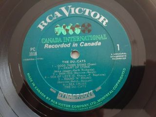 The Du - Cats VERY RARE Mono lp RCA Victor PC - 1018 Newfoundland Canada 3