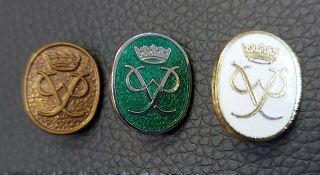 Duke Of Edinburgh Award Badges Full Set Bronze Silver Gold Vintage Rare
