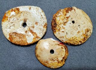 3 Shell Gorget Pendants Very Rare,  Smyth Co,  Virginia