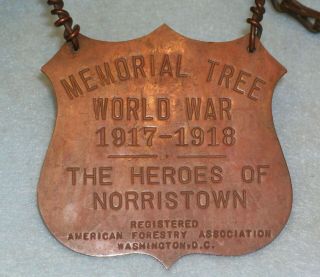 Rare Wwi 1917 - 1918 Norristown Pa Memorial Tree Bronze Shield Medal & Trunk Chain