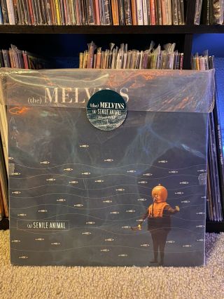 Melvins “ (a) Senile Animal” 4x Lp Of Various Colors Deluxe Box Set - Rare