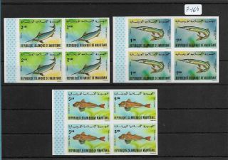 Smt,  Mauritania,  1979,  A Very Rare Fishes Set Block Of 4 Imperf,  Luxury,  Mnh,  Rrr