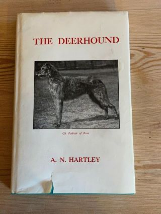 Rare " The Deerhound " Dog Book By A.  N.  Hartley 1972 Illustrated In D/w