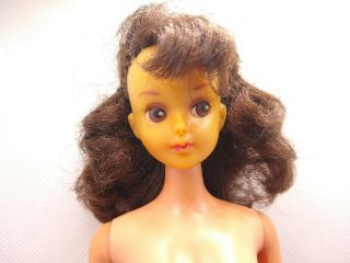 Vintage Barbie Iki Iki Eli Japanese Exclusive RARE 2