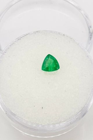 Rare $2000.  50ct Aaa,  Trillion Cut Colombian Emerald Loose Gem