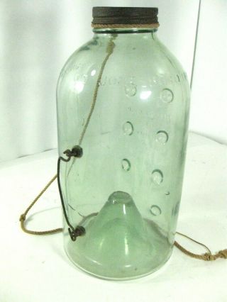 Vintage Antique Glass Jar Minnow Trap Mcswain Jr.  Bait Trap Jonesboro,  Ark Rare