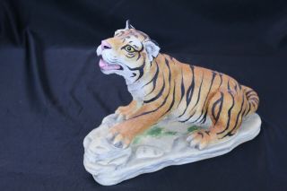 Vintage Boehm " Tiger Cub " 200 - 96 Panthera Tigris Figurine 11 " X 7 " X 5 " Rare