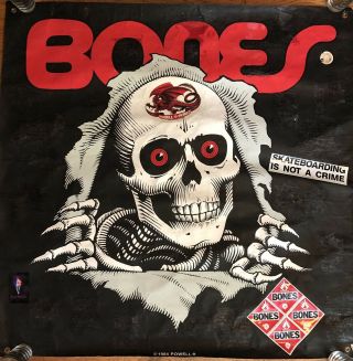 Rare 1984 Powell Peralta Rip Bones Huge Skateboard Instore Banner 46 " X 46 "