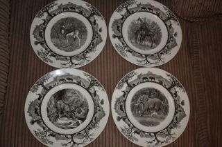 Rare Vintage X4 Wedgwood Kruger National Park Ceramic Dinner Plates