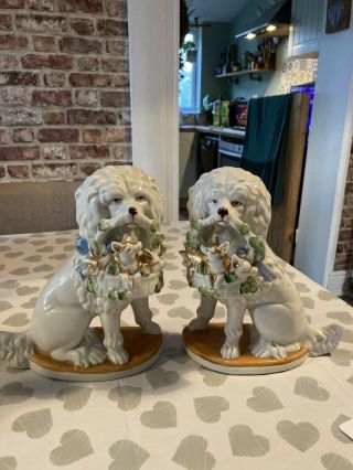 Antique Staffordshire Style Poodles German Porcelain Pair - Rare - Dog Collectors