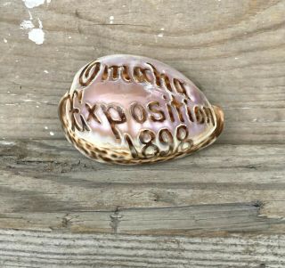 Rare Vintage Antique Omaha Nebraska Exposition 1898 Carved Seashell Souvenir