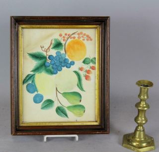 Rare 19th C American Water Color On Paper Theorem Of Fruit In Frame