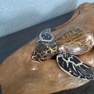 Carl Christiansen Rare Crackled Sea Turtle Fish Decoy Lure Folk Art Wood Carving