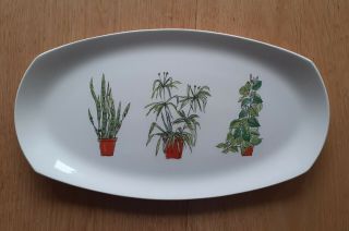 Rare Midwinter Sandwich Tray Plant Life By Terence Conran 1956