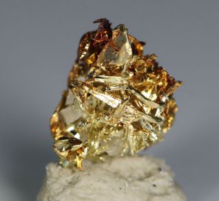 Gold Crystalline Wire Specimen From Washington Liberty Mine Extremely Rare