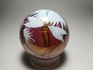 Erwin Eisch Rare Dragonfly German Art Glass Paperweight Signed In His Hand