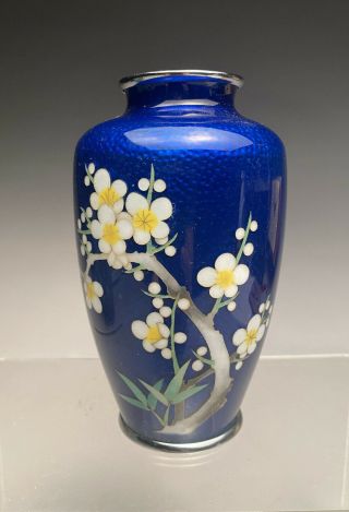 Rare Japanese Blue Ground Wireless Cloisonne Vase Prunus Blossom