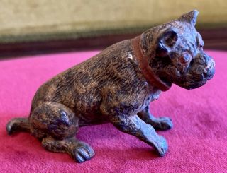Rare Antique Vienna Bronze Bulldog Dog