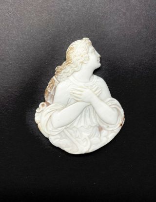 Rare Large Antique 19th C Italian Cameo Shell 1800s Hand Carved