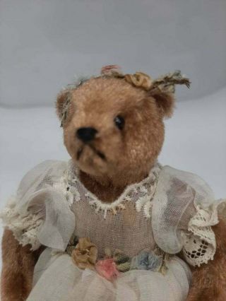 Rare Vintage Ooak 5 In.  Artist Made Mohair Teddy Bear By Diane Sherman 1980 