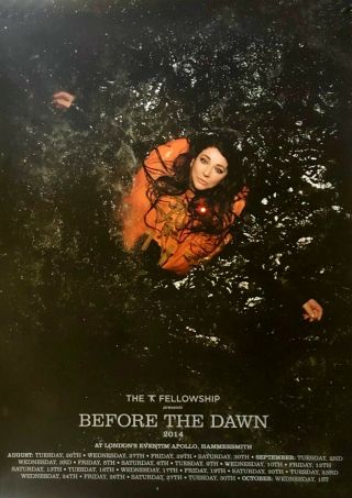 Kate Bush - Before The Dawn Poster - 59.  5 X 42cm - Rare Collectible Poster 2014